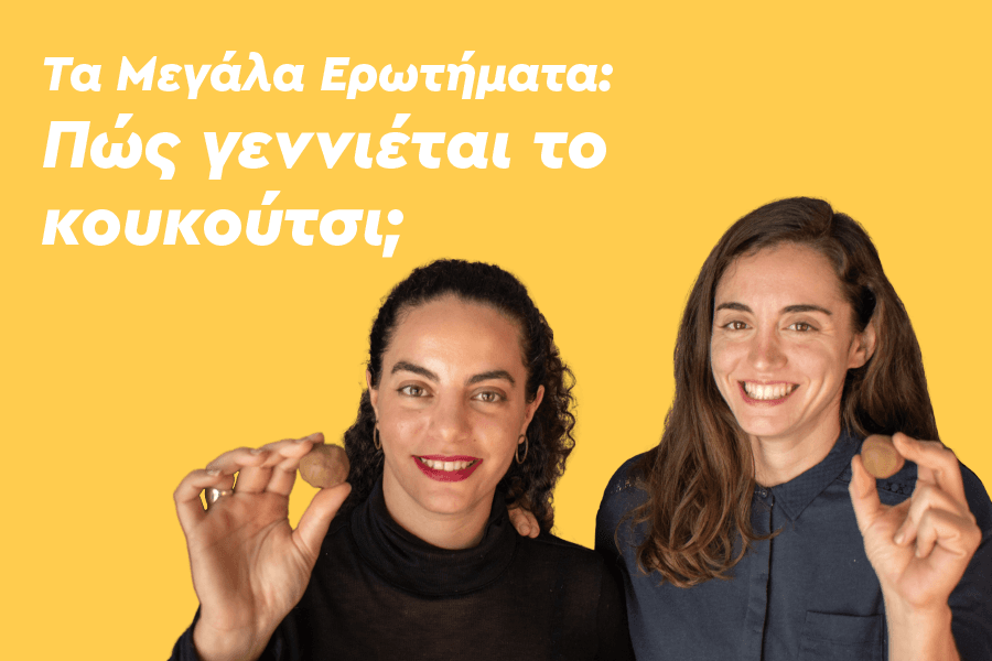 Τα μεγάλα ερωτήματα: Πώς γεννιέται το κουκούτσι;